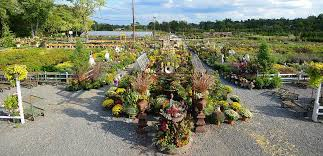 Bountiful Gardens | Visit Somerset County NJ