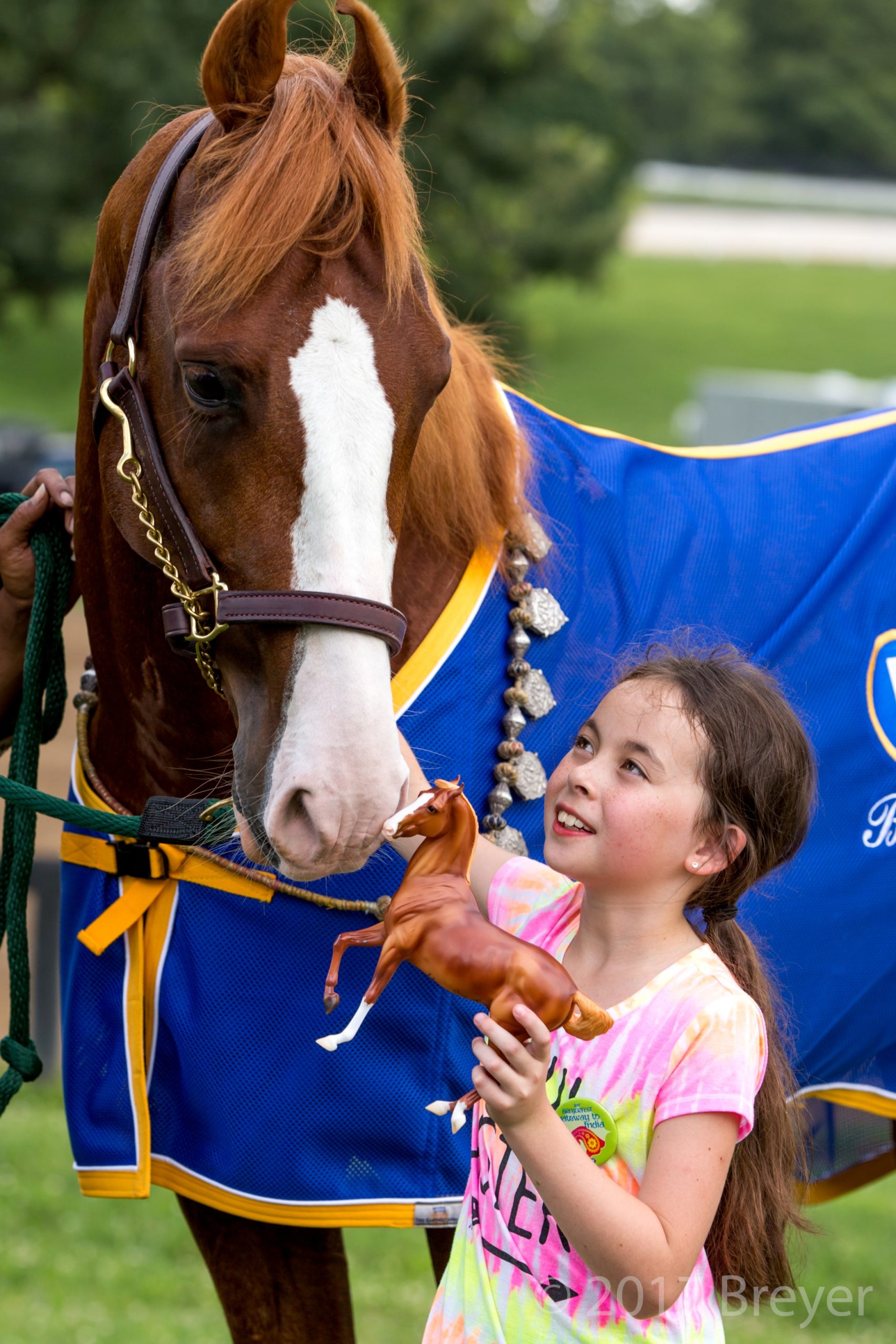 Pony Up Festival Visit Somerset County Nj