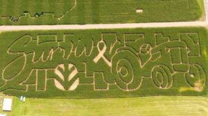 Corn maze Norz