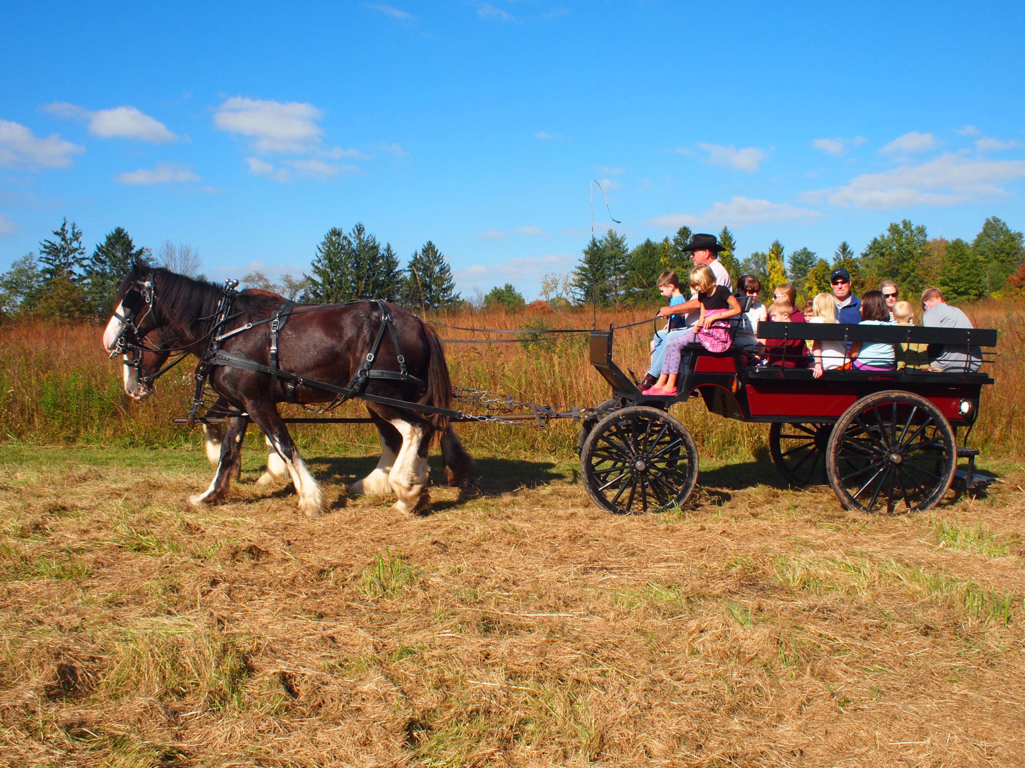 Old Fashioned Country Fair | Visit Somerset County NJ