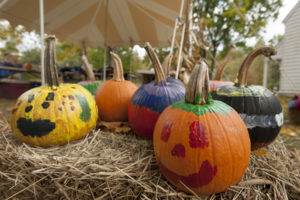 Painted Pumpkins