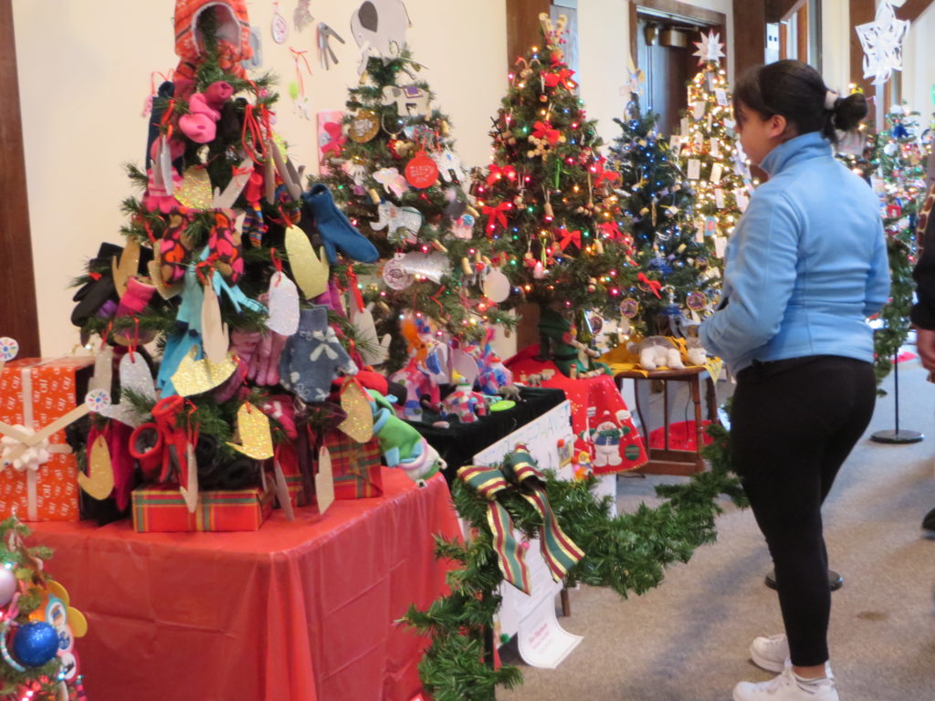 Tree Display Tree Display