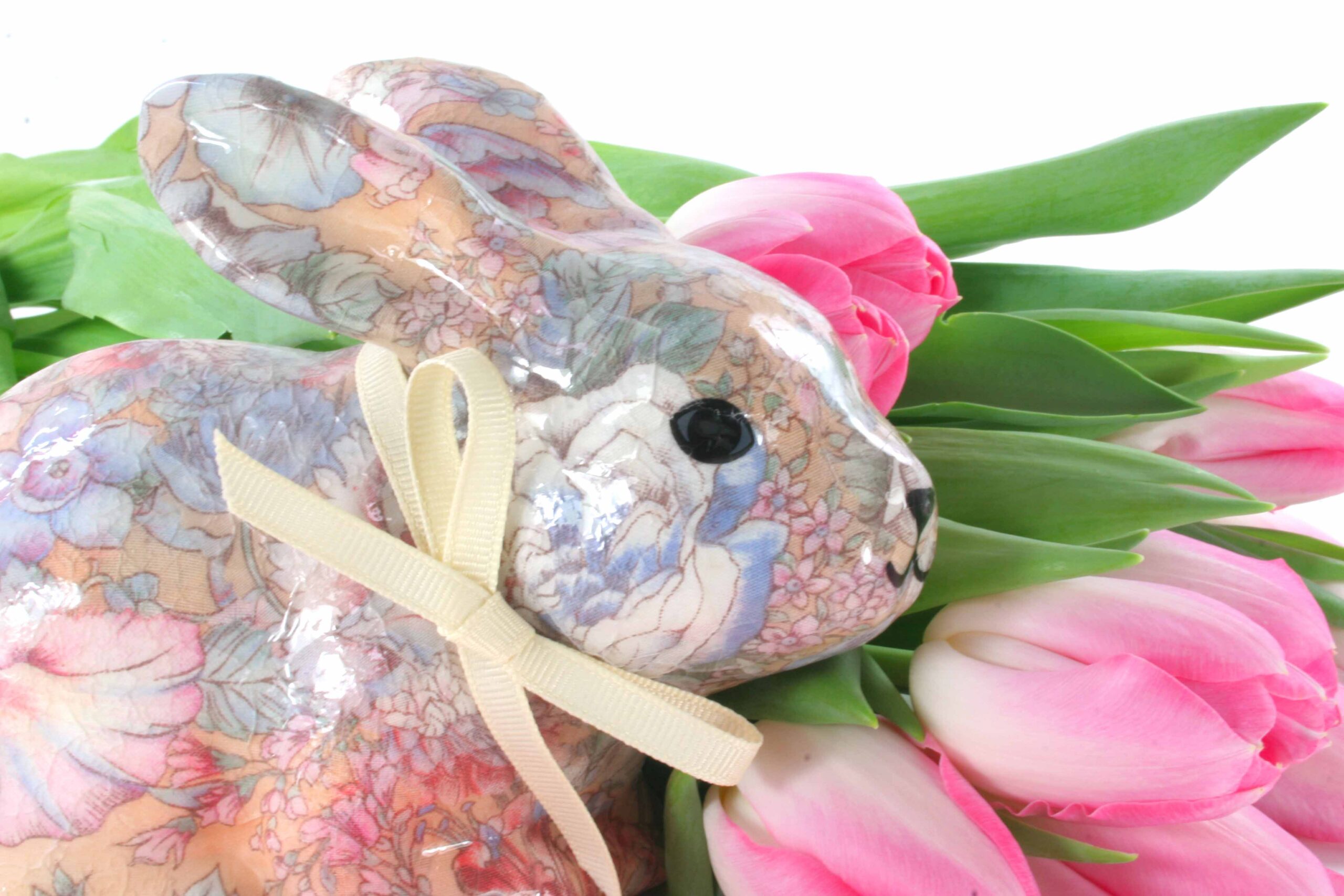 Easter Bunny for web Visit Somerset County NJ