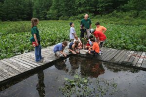 kids exploring in wetlands by lilies