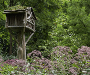 wooden birdhouse among trees and pink flowers