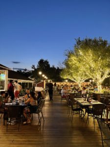 outdoor dining with lights on trees